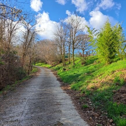 My_dark_lord's profile picture. 