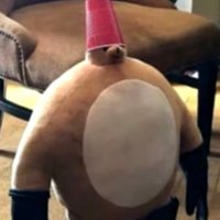 lavos_451 (@lavos_451) 's Twitter Profile