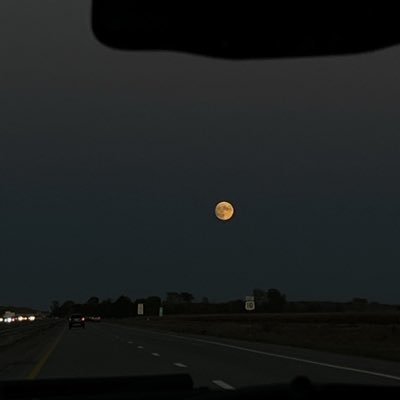 lastprince111's profile picture. على البّال أول لقاء ، وأول نظرة والمكان 🖤