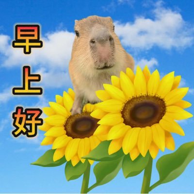 tilgg867's profile picture. 