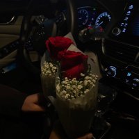 سديم✨ (@sadeema_95) Twitter profile photo