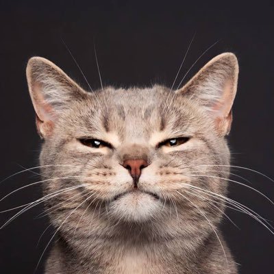 iii_JR1's profile picture. 