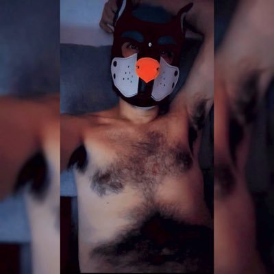 Creador de porno amateur sin rostros🐾🐶 Manda MD📩 para colabs🔥 Contenido en onlyfans y Telegram😈 Cuenta de respaldo @Sharecock_bckp