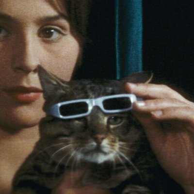 writer @nytimes @sightsoundmag @ft @wmag @filmmakermag • host of The Last Thing I Saw podcast • contributing ed @screenslate • nicolas.rapold@gmail.com