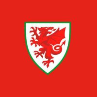 Football Cymru Discord(@WalesDiscord) 's Twitter Profile Photo