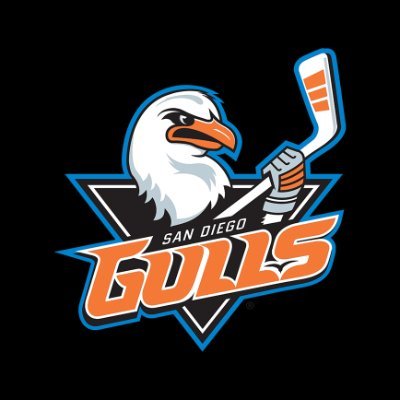 Official account of the San Diego Gulls. Proud @theahl affiliate of the @AnaheimDucks.