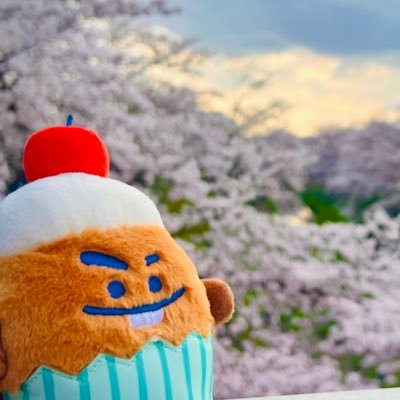 CARAT(🍚(👼🏻🐰(🍊🐯🦊)) ARMY(🐱) 30↑無言フォロー大歓迎です⚇😶⚇ ゆるゆるのんびり*♬೨̣̥