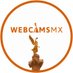 Webcams de México (@webcamsdemexico) Twitter profile photo