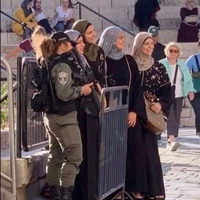 SjakieRdam's profile picture. Ik denk sneller dan ik typ en meer dan ik mag schrijven, excuus voor de fouten.