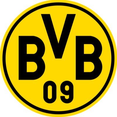 Official #BVB Twitter account in English 🇺🇸🇬🇧 || 🇩🇪 @BVB || 🇯🇵 @BVBjpn ||