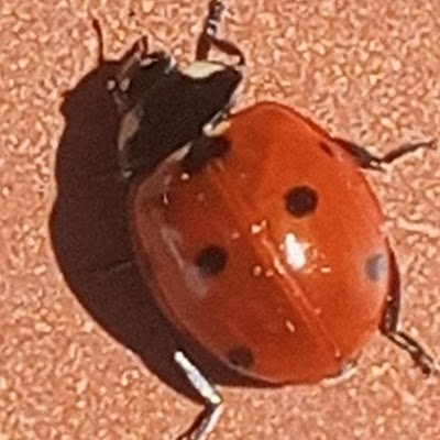Whytat3's profile picture. I'm watching yoo watching me