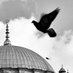 Türkiye Yüzyılı 🇹🇷 (@571dua) Twitter profile photo