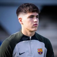 Pau Cubarsi (@cubarsipau) 's Twitter Profile