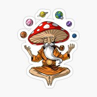 mushroomlamp (@mushroomla43903) 's Twitter Profile