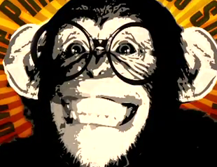 If you wanna contact us, send us some stupid monkey picture or have a business with us just send your mail to ordinarymonkeymail@yahoo.com