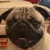 Bryan Roach (@brya87373) Twitter profile photo Bryan Roach (@brya87373) Twitter profile photo