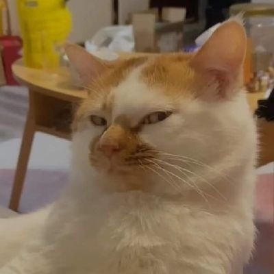Gato con botasさんのプロフィール画像