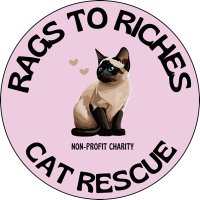 Rags To Riches Cat Rescue(@R2RCatRescue) 's Twitter Profile Photo