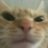 mr_RenOWO's profile image