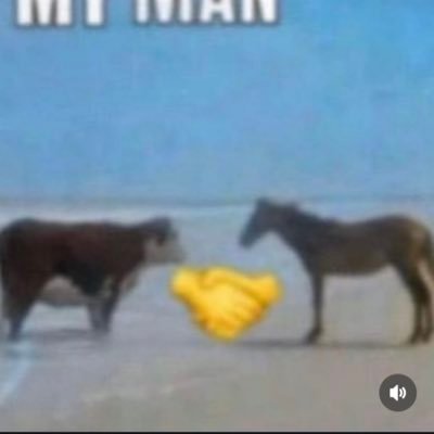 JK1329_'s profile picture. 