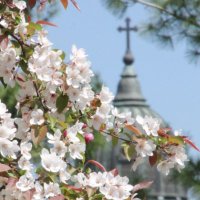 StBensMonastery (@stbensmonastery) 's Twitter Profile
