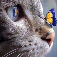 Wheat and sun 🇺🇦🇮🇹🇹🇼 (@nakasha7899) 's Twitter Profile Photo Wheat and sun 🇺🇦🇮🇹🇹🇼 (@nakasha7899) 's Twitter Profile Photo