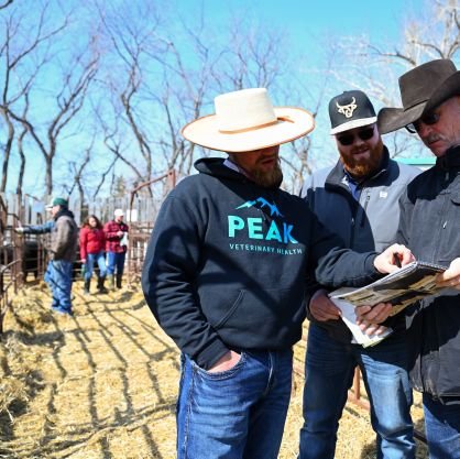 5th Generation Rancher and Farmer at Crescent Creek Angus. Alumni of Animal Science at Lakeland College