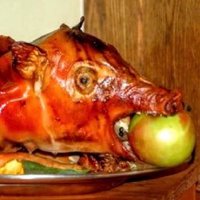 fish (@fishwikipedia_) 's Twitter Profile Photo