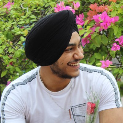 avneetcodes's profile picture. Frontend React Developer