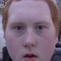 GINGER (@gingersonsol) 's Twitter Profile