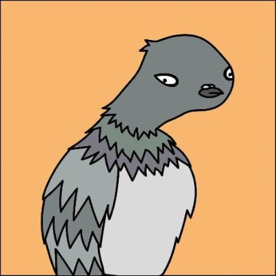 Pigeonsola's profile picture. Pigeon on the Solana: smart, light and fast as the wind