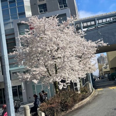 Vancouver 🇨🇦 今年か来年再度ワーホリ予定。 柔道整復師、鍼灸師、オリンピックトレーナー