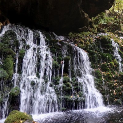 koun0ma's profile picture. 