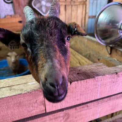 matty_m82's profile picture. 