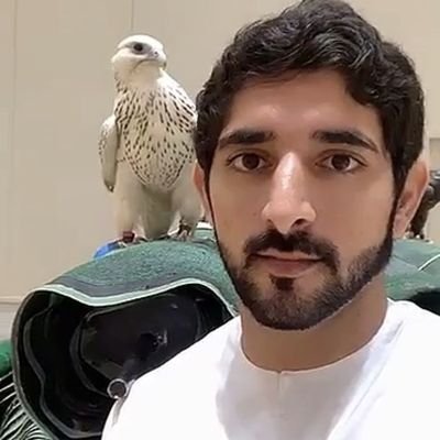 Prince Fazza Hamdan Bin Mohammed Profile