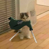 Big Wick (@cryptencrypt) 's Twitter Profile Photo Big Wick (@cryptencrypt) 's Twitter Profile Photo