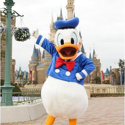 ❤め～たん❤さんのプロフィール画像