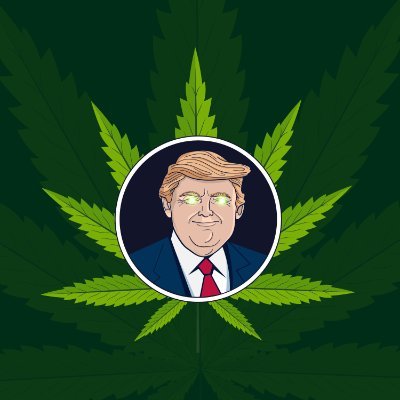 -Cannabis Community - MemeCoin- Real Life Weed Utilities- 
🍀BIG PARTNERSHIPS IN CANNABIS INDUSTRY!🍀
100% REAL Community https://t.co/oEnIiHZLXH