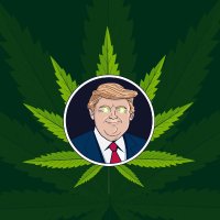 Green_Trump(@GreenTrumpGTSOL) 's Twitter Profile Photo