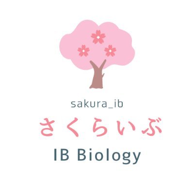 sakura_ib_bio Profile Picture