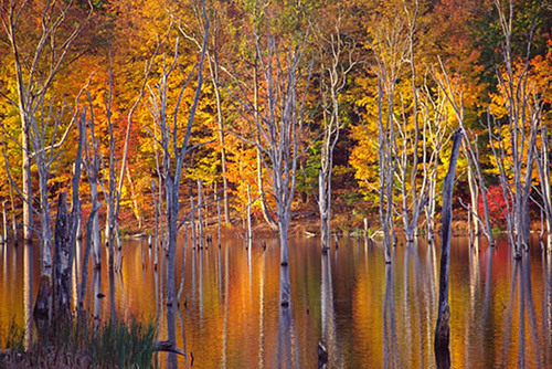 JohnNandor's profile picture. Fine art nature photographer.