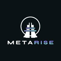 Metarise(@metariseworld) 's Twitter Profile Photo