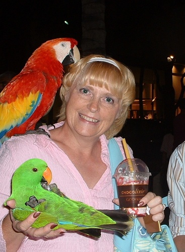 SharonSrock's profile picture. Stories of ordinary women using their faith to do extraordinary things. Meet The Women of Valley View: http://t.co/Y77OGVpPPA

FB page http://t.co/jdaXw5imnR