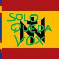 #votaVOX #soloquedaVOX
