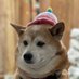 Nic (@borednic11) Twitter profile photo Nic (@borednic11) Twitter profile photo