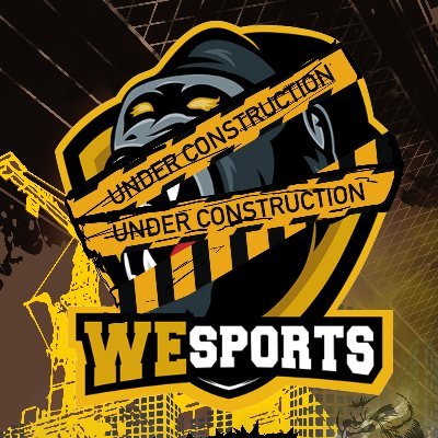 Professional Esport Organisation in Germany since 2016 | Contact: info@wesports.de | WeSports GmbH | #WeSWIN #WeStastisch #WeSFamily