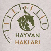 Hayvan Hakları Organizasyonu(@hayhakorgtr) 's Twitter Profile Photo