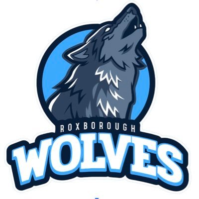 Forever Nicks wolves 🐺🕊️                    Head coach-Michael Stanley https://t.co/XtWqtfqj5J