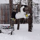 Willie Carr - @Willeroo - Twitter