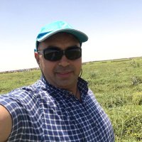 احمد حسن ابوعمار (@ahmedaboamar77) 's Twitter Profile